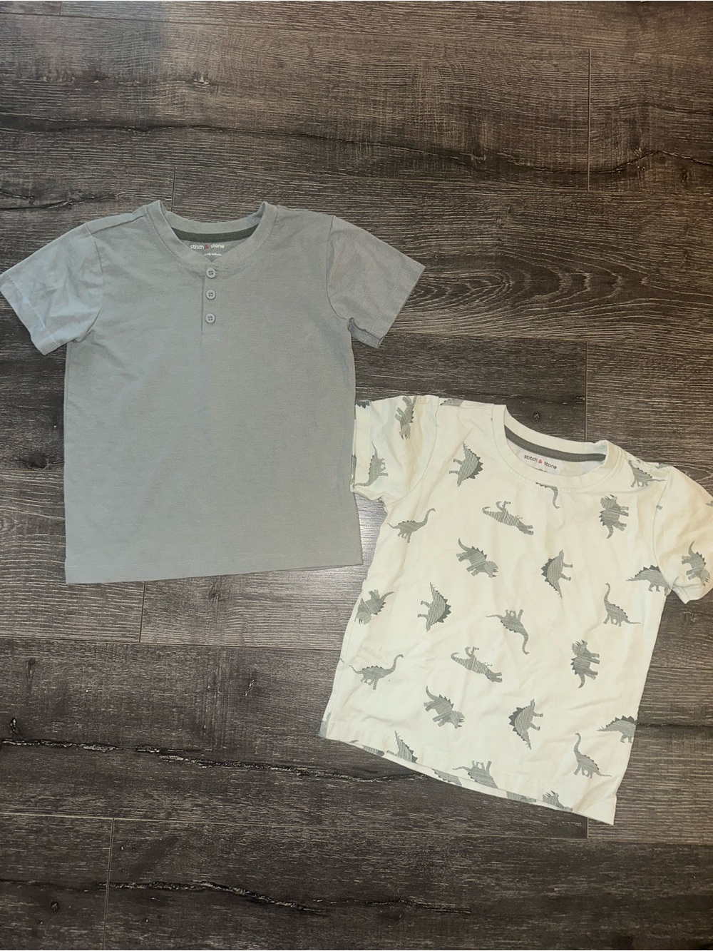 Stitch & Stone Boys Kids Short Sleeve Dino Print and Solid Tee Set